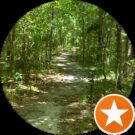 football games today